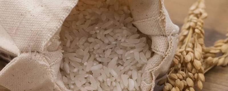 大米的成分有哪些物质