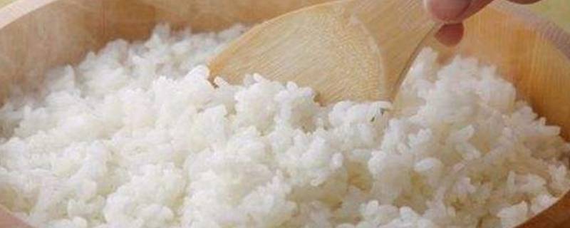 如何判断剩米饭能不能吃