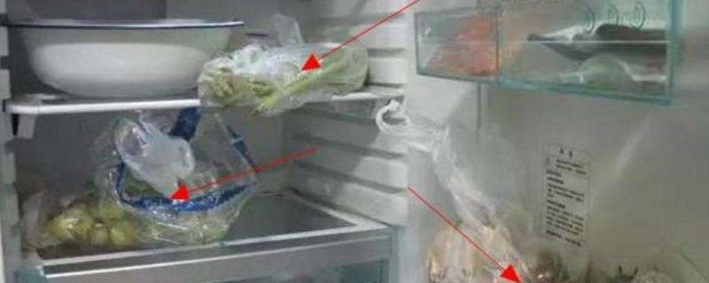 塑料袋可以放冰箱吗