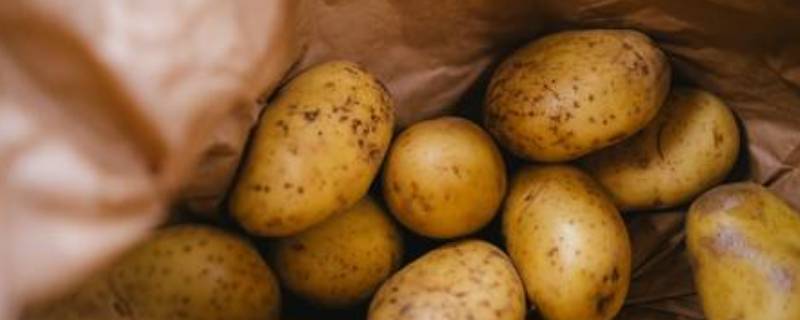 土豆有几种叫法