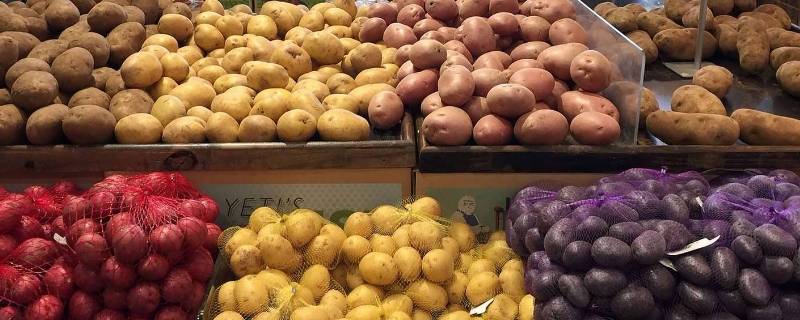 土豆品种