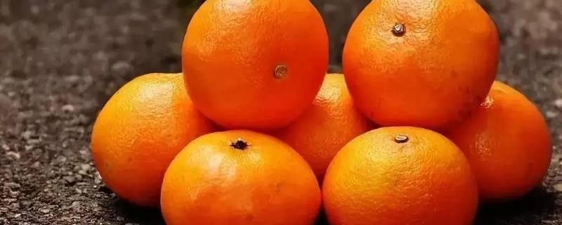 橘子皮上有红色的东西是什么