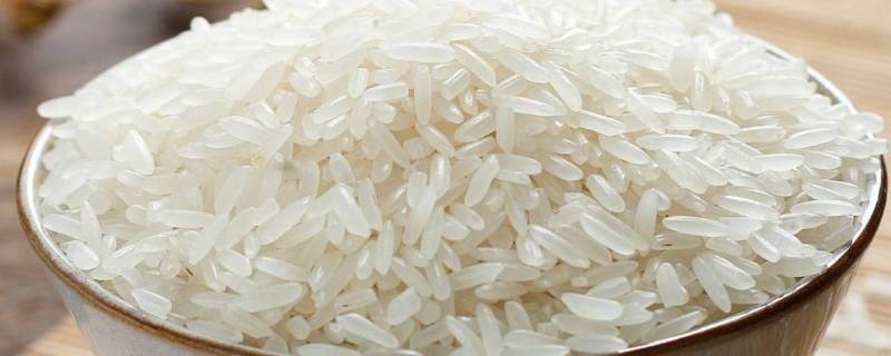 长粒大米是什么米