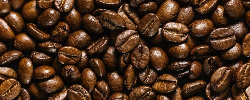 咖啡豆是不是豆