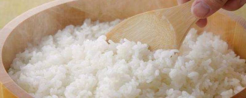 剩米饭怎么保存