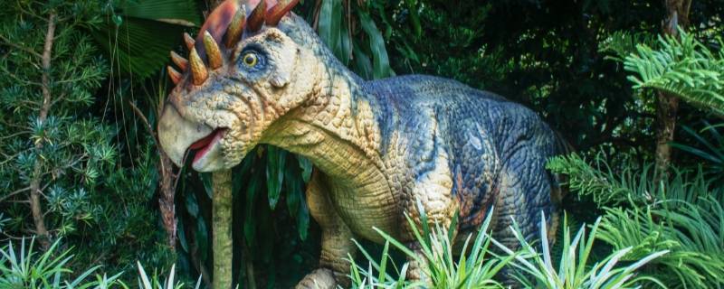 爬行类的恐龙主要生活在什么年代