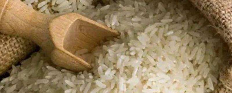 大米怎样挑选质量好的米